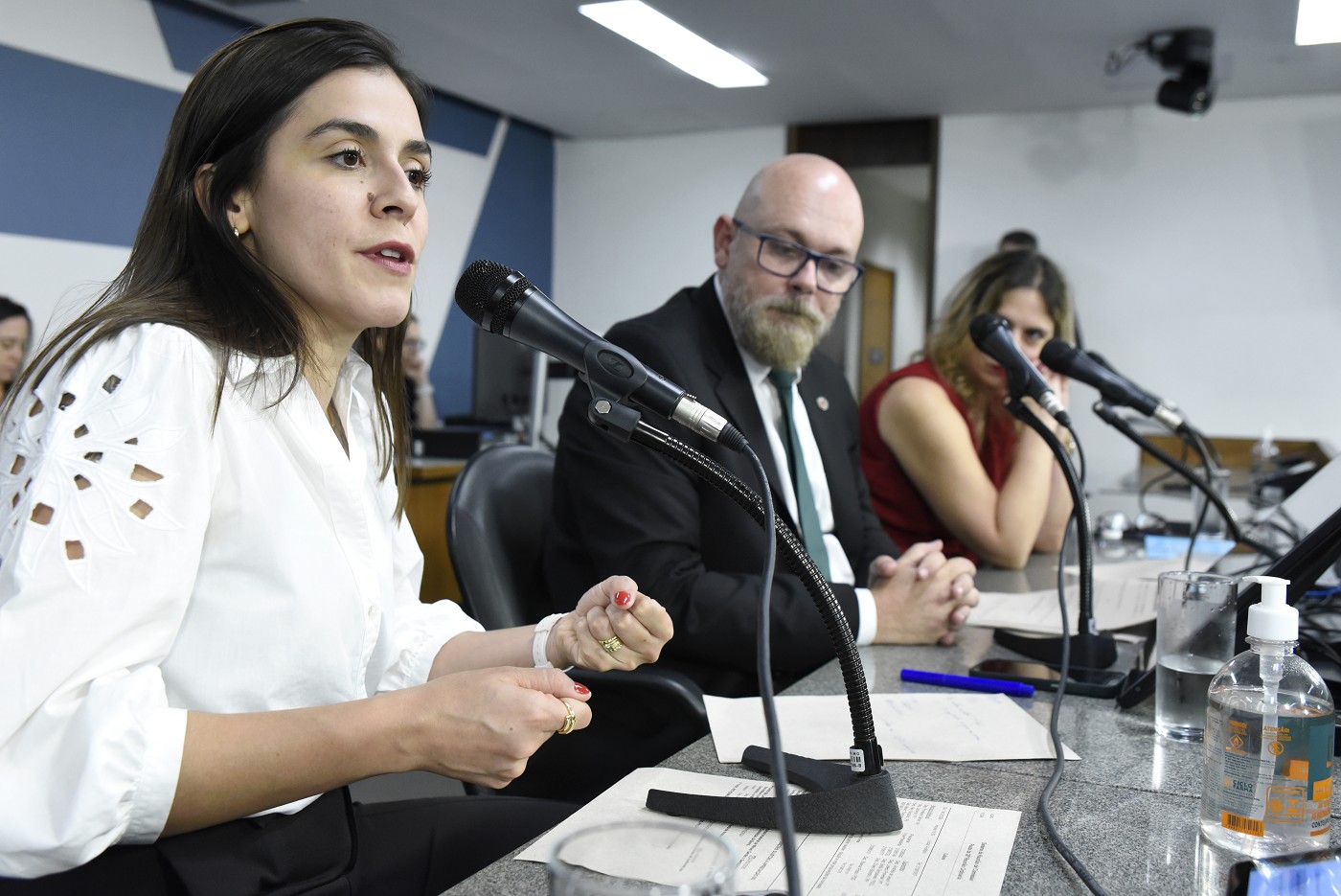 Destinação de recursos para cultura pauta audiência