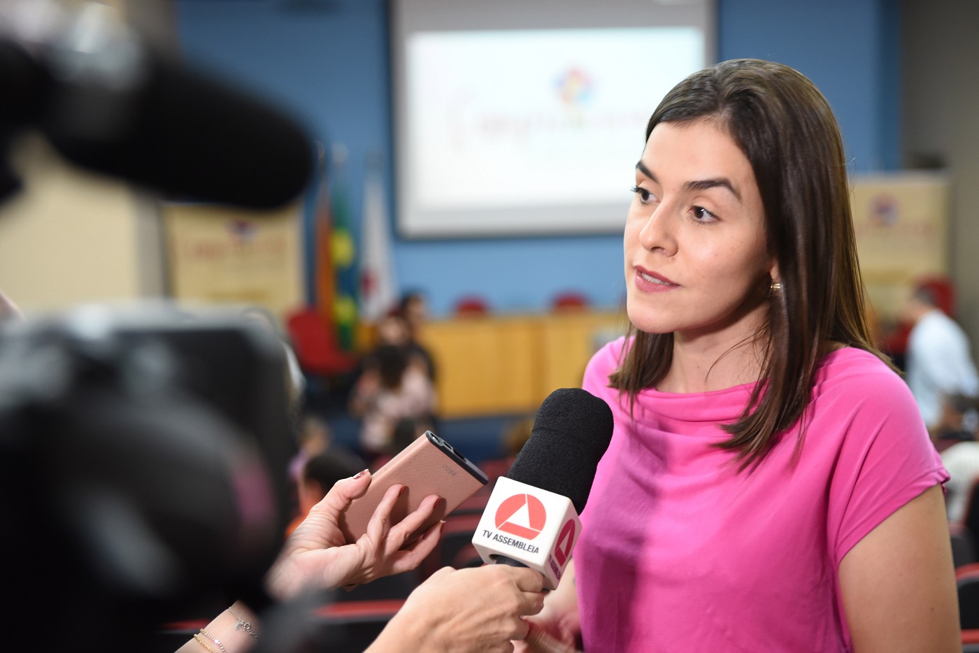 Comissão destaca ações culturais realizadas no Centro-Oeste de Minas